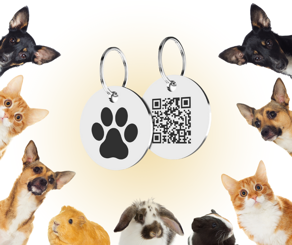 QR Code for Pet tags